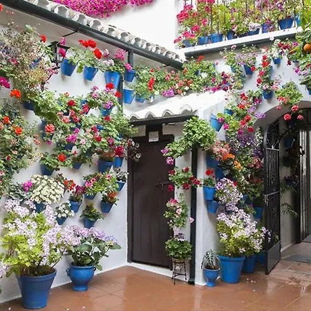 Apartment El Rincon Del Abuelo Villaviciosa de Córdoba