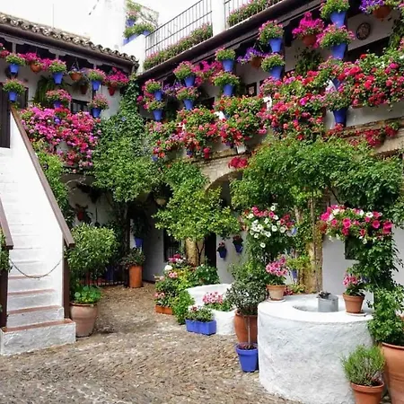 Apartment El Rincon Del Abuelo