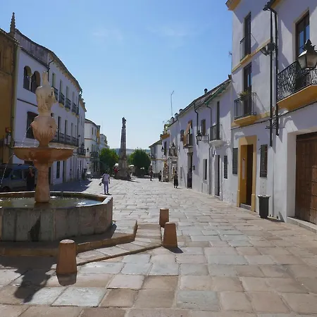 El Rincon Del Abuelo Apartment Villaviciosa de Córdoba